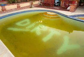 Dirty,Abandoned,And,Uncleaned,Swimming,Pool,With,The,Word,”dirty” Dirty,Abandoned,And,Uncleaned,Swimming,Pool,With,The,Word,"dirty"